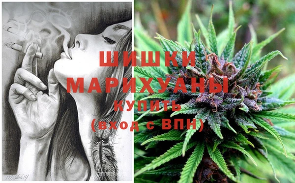 круглые Новодвинск