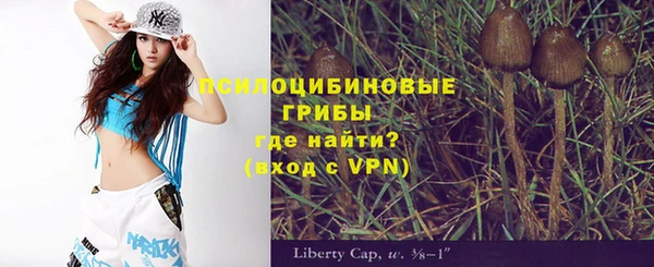 mdpv Алзамай