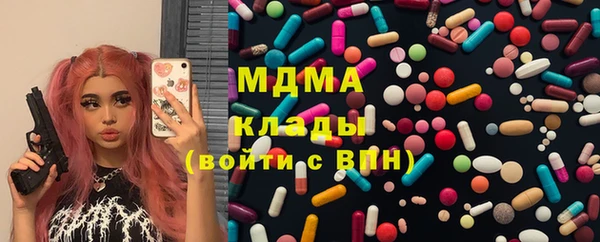 индика Новокубанск