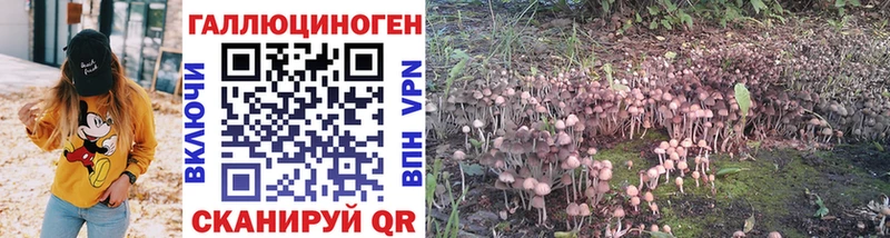 Псилоцибиновые грибы Magic Shrooms  купить наркотик  Юрьев-Польский 